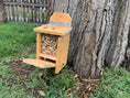 Load image into Gallery viewer, Squirrel Feeder with lid lift Kings Fine Woodworking

